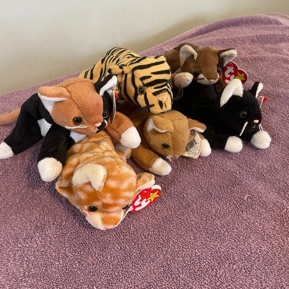 Beanie baby cats